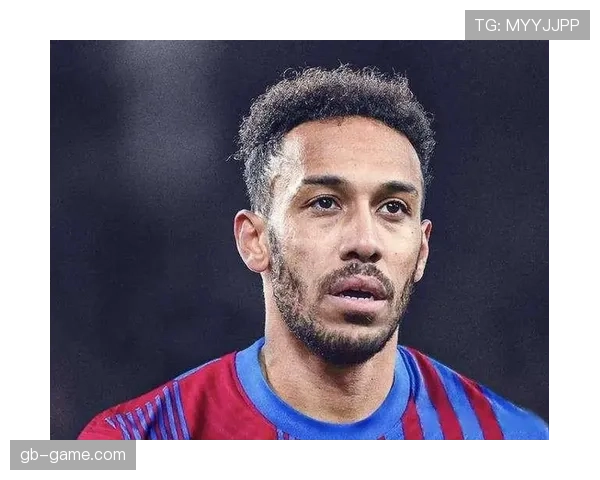 哈兰德与奥巴梅扬多特生涯终结效率与战术角色对比分析